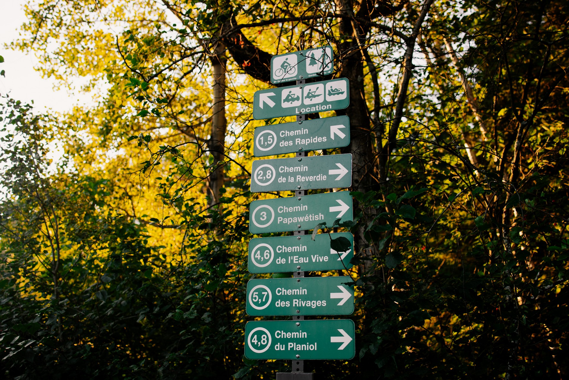 Kiosques d'informations | Projet de reboisement de la Pinède - Corporation du Parc de la Rivière-du-Moulin